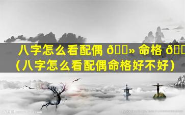 八字怎么看配偶 🌻 命格 🐛 （八字怎么看配偶命格好不好）